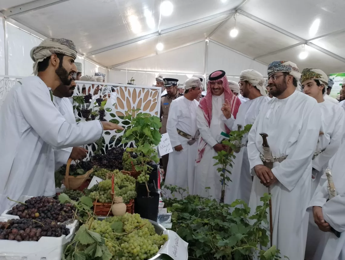 انطلاق مهرجان العنب بالمضيبي..  وزير الاقتصاد : نهدف إلى تعزيز الأمن الغذائي وتحقيق الاكتفاء الذاتي