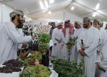 انطلاق مهرجان العنب بالمضيبي..  وزير الاقتصاد : نهدف إلى تعزيز الأمن الغذائي وتحقيق الاكتفاء الذاتي
