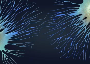 اكتشاف آلية فريدة تحدث عندما تموت خلايا الجسم.. ما هي؟