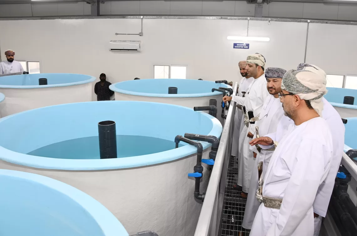 بتكلفة 600 ألف ريال.. افتتاح المحجر الوطني للروبيان في ‎بركاء