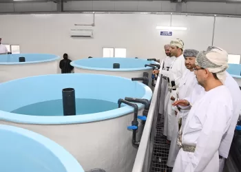 بتكلفة 600 ألف ريال.. افتتاح المحجر الوطني للروبيان في ‎بركاء