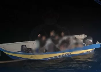 ضبط 12 متسللا حاولوا دخول البلاد بطريقة غير مشروعة