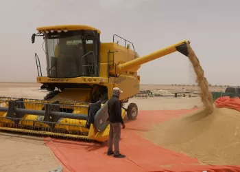 بعد انتهاء اتفاق تصدير الحبوب بين روسيا وأوكرانيا.. ما وضع المخزون الاستراتيجي بسلطنة عمان؟