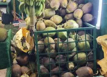 لهذا السبب.. ضبط عدد من محال بيع النارجيل في صلالة