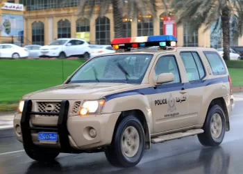 القبض على 8 آسيويين بتهمة سرقة كابلات وأسلاك كهربائية