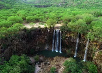 زوّار خريف ظفار يشيدون بالخدمات والأنشطة.. وهذه مقترحاتهم للتطوير وتحسين تجربة الزائرين