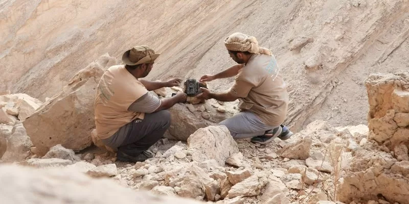 رصد الحياة الفطرية بالبريمي عبر الكاميرات الفخيّة