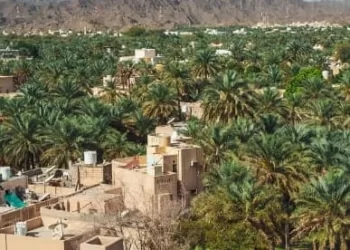 “الإسكان” تعلن عن 5 فرص استثمارية لمشاريع زراعية في الداخلية