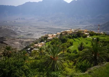 تنفيذ عدد من المشاريع الخدمية والتنموية في نخل العام المقبل