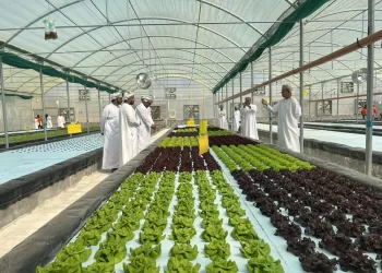 “الإسكان والتخطيط العمراني: تعلن عن فرص استثمارية لمشاريع زراعية بمحافظة البريمي