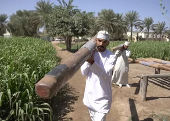 مشاركة الفيلم العُماني “المنيور” في مهرجان كينيا الدولي لأفلام الرياضة