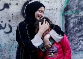 فايزه محمد تكتب: “الإبادة الجماعية” في غزة.. وشعارات حقوق الإنسان الزائفة