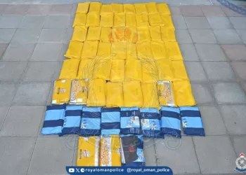 القبض على 3 أشخاص بحوزتهم كميات من مخدر الحشيش في جنوب الشرقية