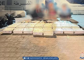 ضبط 3 مهربين حاولوا دخول البلاد بطريقة غير مشروعة