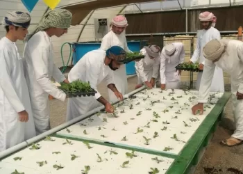 طلاب بالظاهرة ينجحون في تنفيذ مشروع استزراع سمكي ونباتي دون استخدام التربة