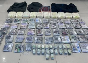 القبض على 3 أشخاص خلال محاولة تهريب كميات من المواد المخدرة