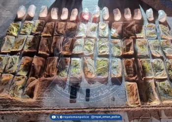ضبط شخصين أثناء محاولة تهريب كميات من المواد المخدرة