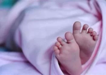 ابتكار “رقعة من الأنسجة” لتصحيح عيوب القلب الخلقية عند الرضع