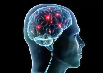 ابتكار طريقة غير جراحية لفك تشفير الكلام من نشاط الدماغ