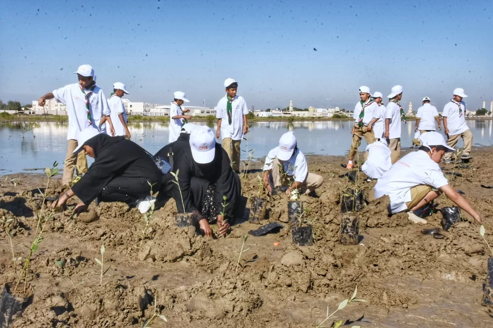 استزراع 50 ألف شجرة قُرم ضمن “مبادرة أوكيو الخضراء” بشمال الباطنة