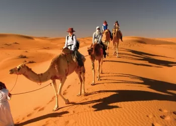 وفدٌ تجاريٌّ سعوديٌّ يزور شمال الشرقية لبحث تعزيز التعاون المشترك