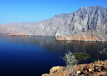 رصد أنواع مختلفة من الثدييات البحرية والبرية بمحمية المنتزه الوطني الطبيعي في مسندم