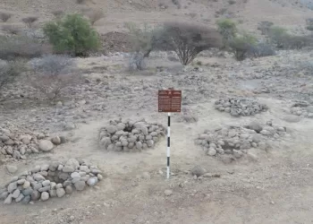 تنفيذ حفرية خليجية مشتركة في بوشر