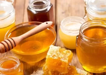 إنتاج جنوب الباطنة من العسل المحلي يتجاوز 7 أطنان بنهاية 2023
