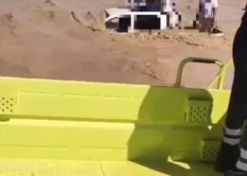 بالفيديو.. إنقاذ 3 أشخاص بعد احتجازهم في مجرى وادي حلفين