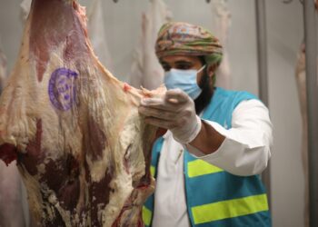 مسالخ بلدية مسقط تعلن جاهزيتها لاستقبال شهر رمضان.. تعرّف على مواعيد العمل