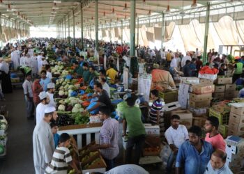 مع تكثيف حملات التفتيش.. “بلدية مسقط” تؤكد جاهزية السوق المركزي للخضروات والفواكه خلال رمضان