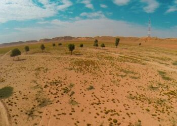 60 بالمائة نسبة الإنجاز في مشروع استزراع جِرْي الحُويّة في البريمي