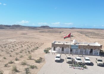هيئةُ البيئة تنفذ حملة “لغرس ٤ ملايين بذرة” بظفار