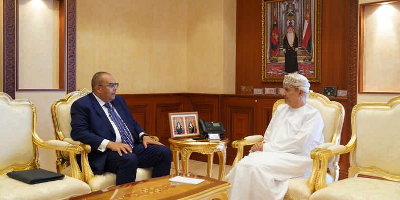 وزير المالية يستقبل المدير التنفيذي بصندوق النقد الدولي
