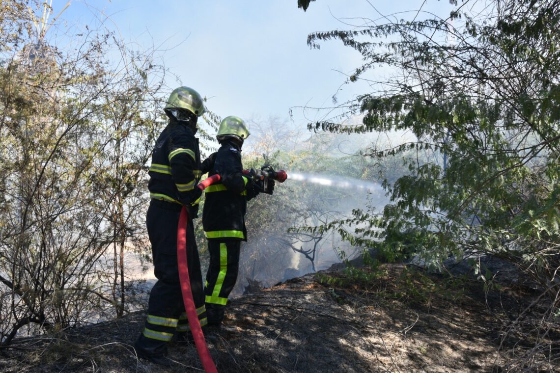 هيئة الدفاع المدني والإسعاف تتعامل مع “947” حريقاً بالمزارع في عام 2023