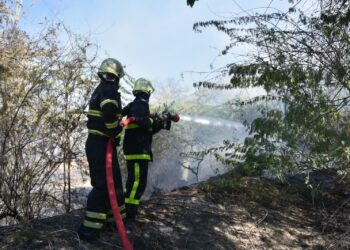 هيئة الدفاع المدني والإسعاف تتعامل مع “947” حريقاً بالمزارع في عام 2023