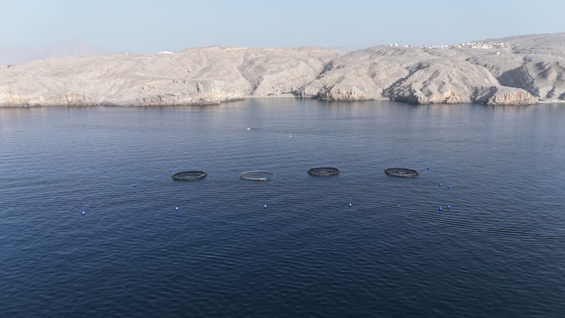 بأكثر من 10 ملايين ريال.. تنفيذ مشروع لاستزراع الأسماك الزعنفية في خصب