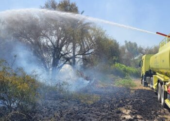 التعامل مع 947 حريقا بالمزارع خلال 2023