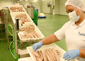 بدءُ التشغيل التجريبي لمصنع “سماك” بمنطقة الصناعات السمكية في الدقم