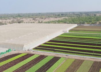 تحسن الأمن الغذائي بسلطنة عُمان في مؤشرات وفرة الغذاء والاستدامة والتكيف