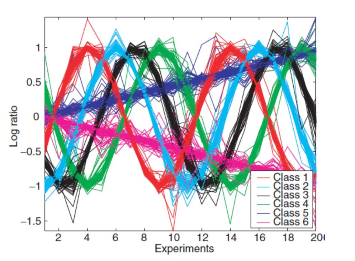 جامعة السلطان قابوس تطور معادلة رياضية تعنى بالذكاء الاصطناعي