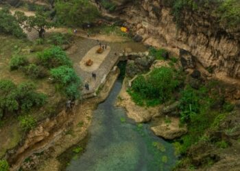 وادي “أغير” طريق معبّد يشق الغابات الخضراء بمحافظة ظفار