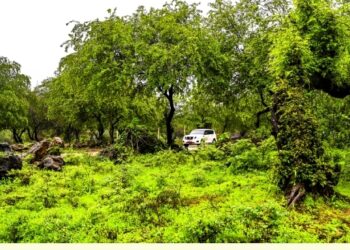 عين جرزيز.. طبيعة خلابة وموقع مثالي للاستجمام طوال العام