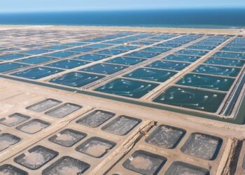 طرح فرص استثمارية في القطاع السمكي بأكثر من 5 ملايين ريال