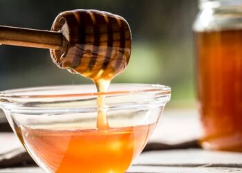 عسل الطلح.. ماذا تعرف عن فوائده؟