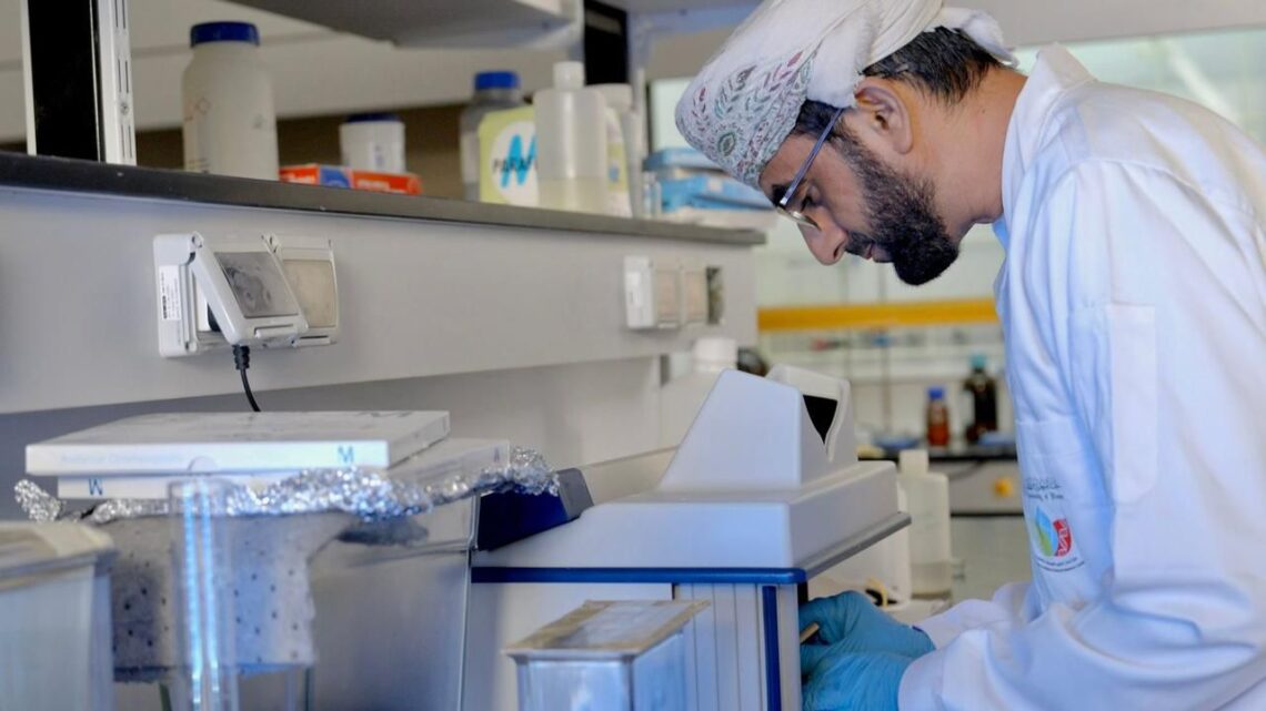 إدراج 13 أكاديميا من جامعة نزوى ضمن “قائمة ستانفورد لأفضل 2% من العلماء”