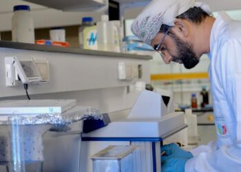 إدراج 13 أكاديميا من جامعة نزوى ضمن “قائمة ستانفورد لأفضل 2% من العلماء”