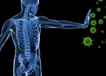 تناول هاتين العشبتين معاً لتعزيز المناعة في جسمك