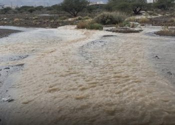 هطول أمطار متفاوتة الغزارة على ولايتي الرستاق والعوابي