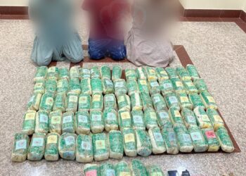 ضبط 3 أشخاص حاولوا تهريب كمية كبيرة من مخدر الحشيش